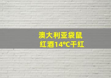 澳大利亚袋鼠红酒14℃干红