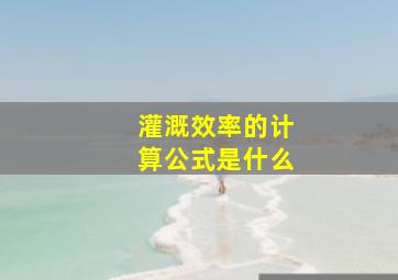 灌溉效率的计算公式是什么