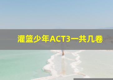 灌篮少年ACT3一共几卷