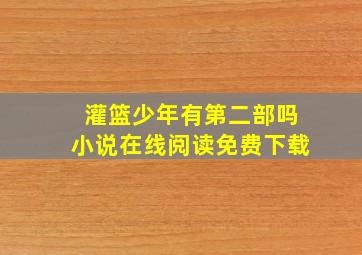 灌篮少年有第二部吗小说在线阅读免费下载