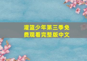 灌篮少年第三季免费观看完整版中文