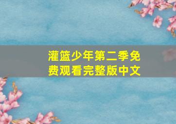 灌篮少年第二季免费观看完整版中文