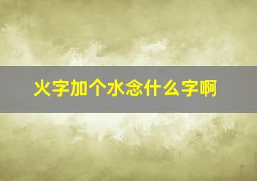 火字加个水念什么字啊