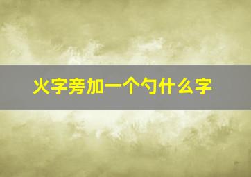 火字旁加一个勺什么字