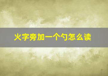 火字旁加一个勺怎么读