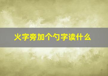 火字旁加个勺字读什么