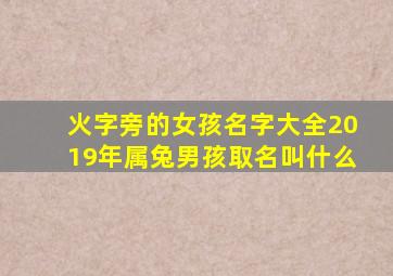 火字旁的女孩名字大全2019年属兔男孩取名叫什么