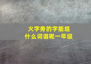 火字旁的字能组什么词语呢一年级