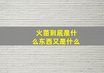 火苗到底是什么东西又是什么