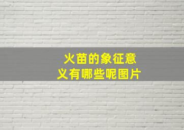 火苗的象征意义有哪些呢图片