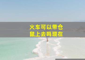 火车可以带仓鼠上去吗现在