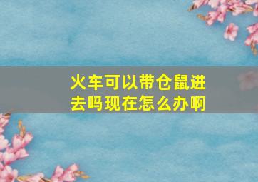 火车可以带仓鼠进去吗现在怎么办啊