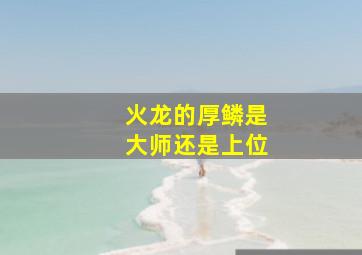 火龙的厚鳞是大师还是上位