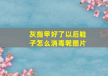 灰指甲好了以后鞋子怎么消毒呢图片