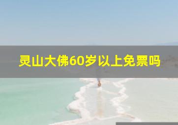 灵山大佛60岁以上免票吗