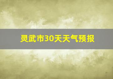 灵武市30天天气预报