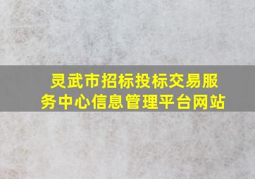 灵武市招标投标交易服务中心信息管理平台网站