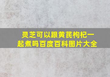 灵芝可以跟黄芪枸杞一起煮吗百度百科图片大全