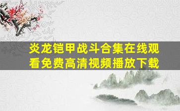 炎龙铠甲战斗合集在线观看免费高清视频播放下载