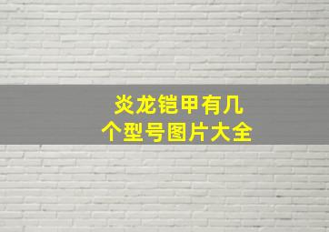 炎龙铠甲有几个型号图片大全