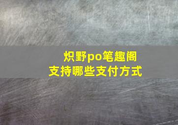 炽野po笔趣阁支持哪些支付方式