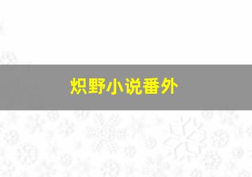 炽野小说番外