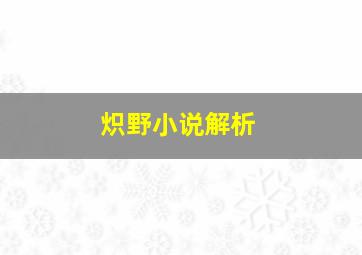 炽野小说解析