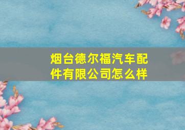 烟台德尔福汽车配件有限公司怎么样