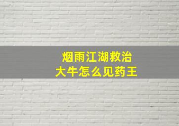 烟雨江湖救治大牛怎么见药王