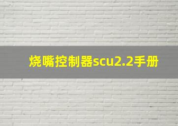 烧嘴控制器scu2.2手册