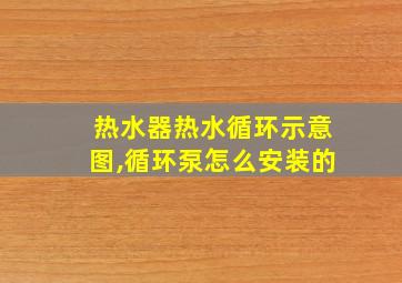 热水器热水循环示意图,循环泵怎么安装的