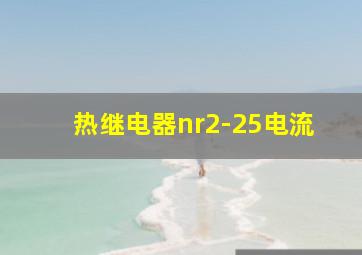 热继电器nr2-25电流