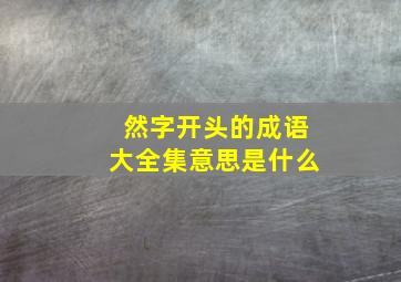 然字开头的成语大全集意思是什么