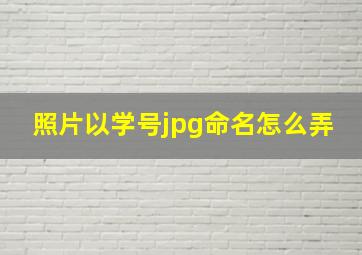 照片以学号jpg命名怎么弄