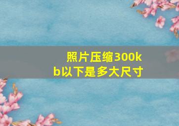 照片压缩300kb以下是多大尺寸