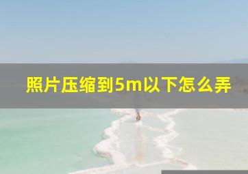 照片压缩到5m以下怎么弄