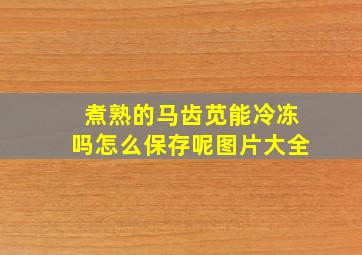 煮熟的马齿苋能冷冻吗怎么保存呢图片大全