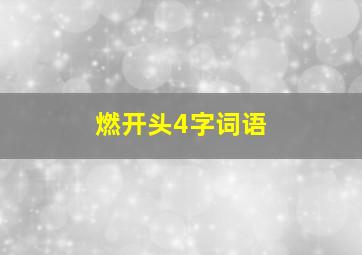 燃开头4字词语