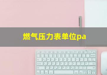 燃气压力表单位pa