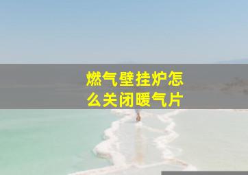 燃气壁挂炉怎么关闭暖气片