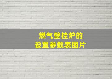 燃气壁挂炉的设置参数表图片