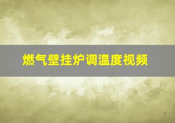 燃气壁挂炉调温度视频