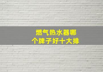 燃气热水器哪个牌子好十大排