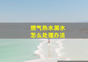 燃气热水漏水怎么处理办法