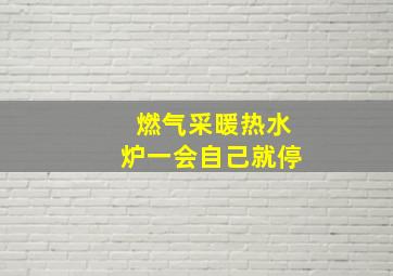 燃气采暖热水炉一会自己就停