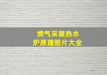 燃气采暖热水炉原理图片大全