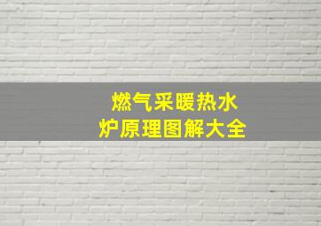 燃气采暖热水炉原理图解大全