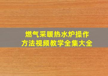 燃气采暖热水炉操作方法视频教学全集大全