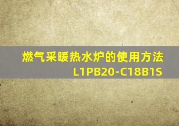 燃气采暖热水炉的使用方法L1PB20-C18B1S