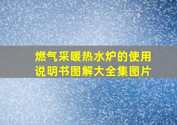 燃气采暖热水炉的使用说明书图解大全集图片